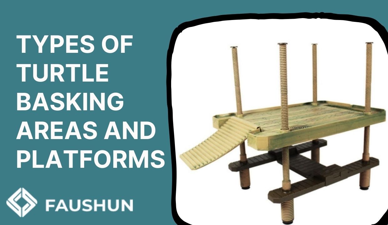 Create the Perfect Habitat with Faushun’s Turtle Basking Area aquarium 第2张