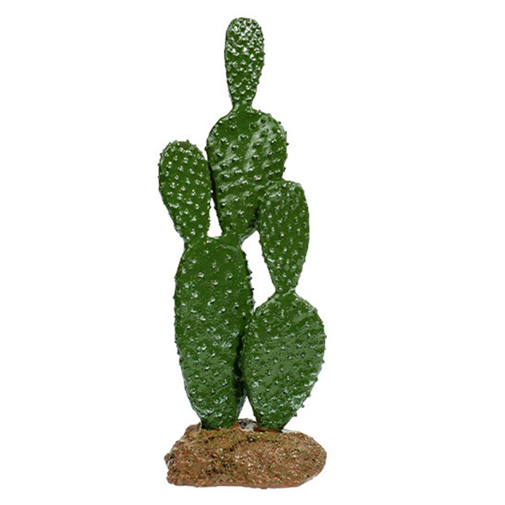 cactus decoration  第5张
