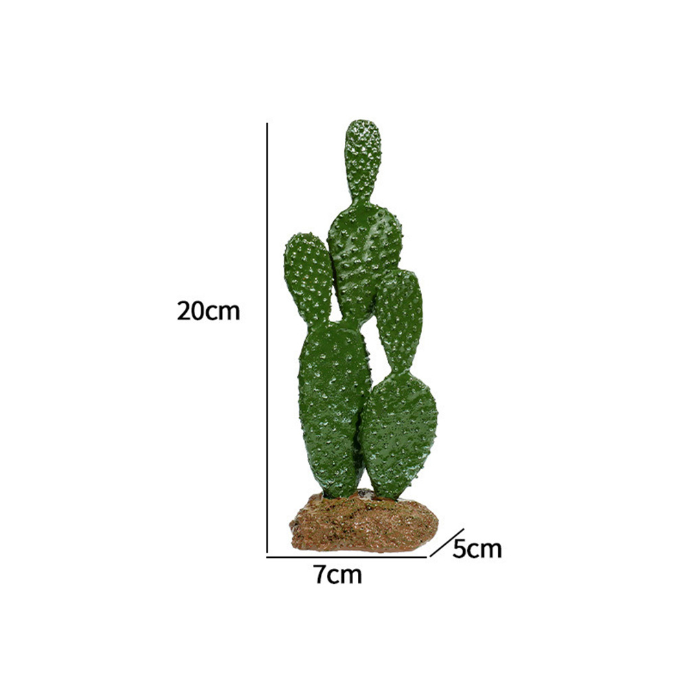 cactus decoration  第6张