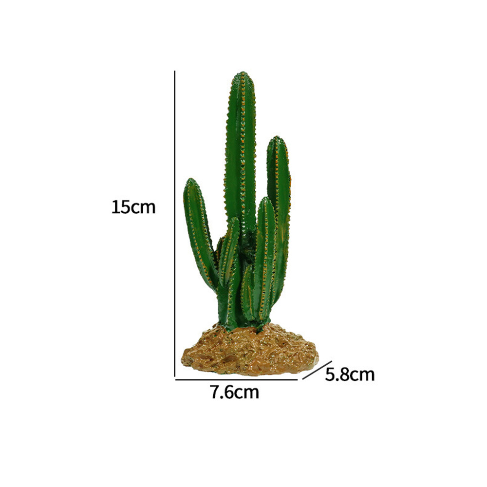 cactus decoration  第4张