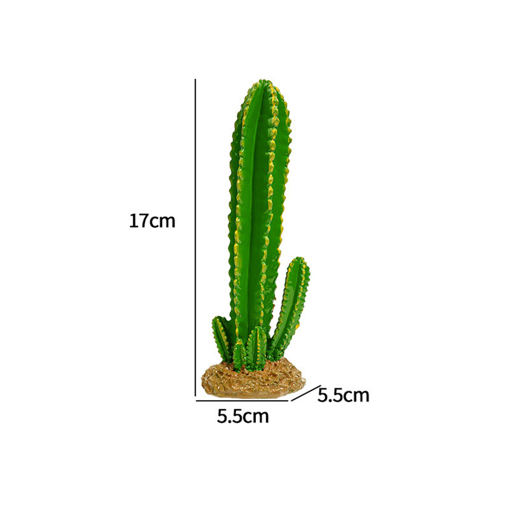 cactus decoration  第2张