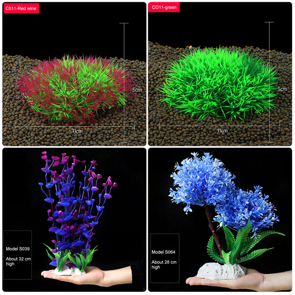 Aquatic plants wholesale 第9张-Pet and Aquarium Supplies Wholesale | FAUSHUN