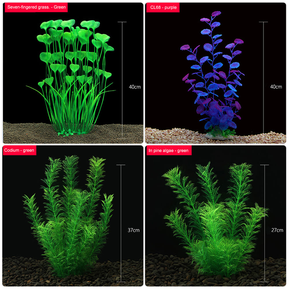Aquatic plants wholesale 第6张-Pet and Aquarium Supplies Wholesale | FAUSHUN