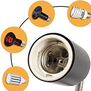 Turtle lamp  第3张