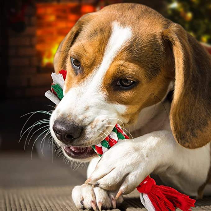 Dog teething toy  第7张