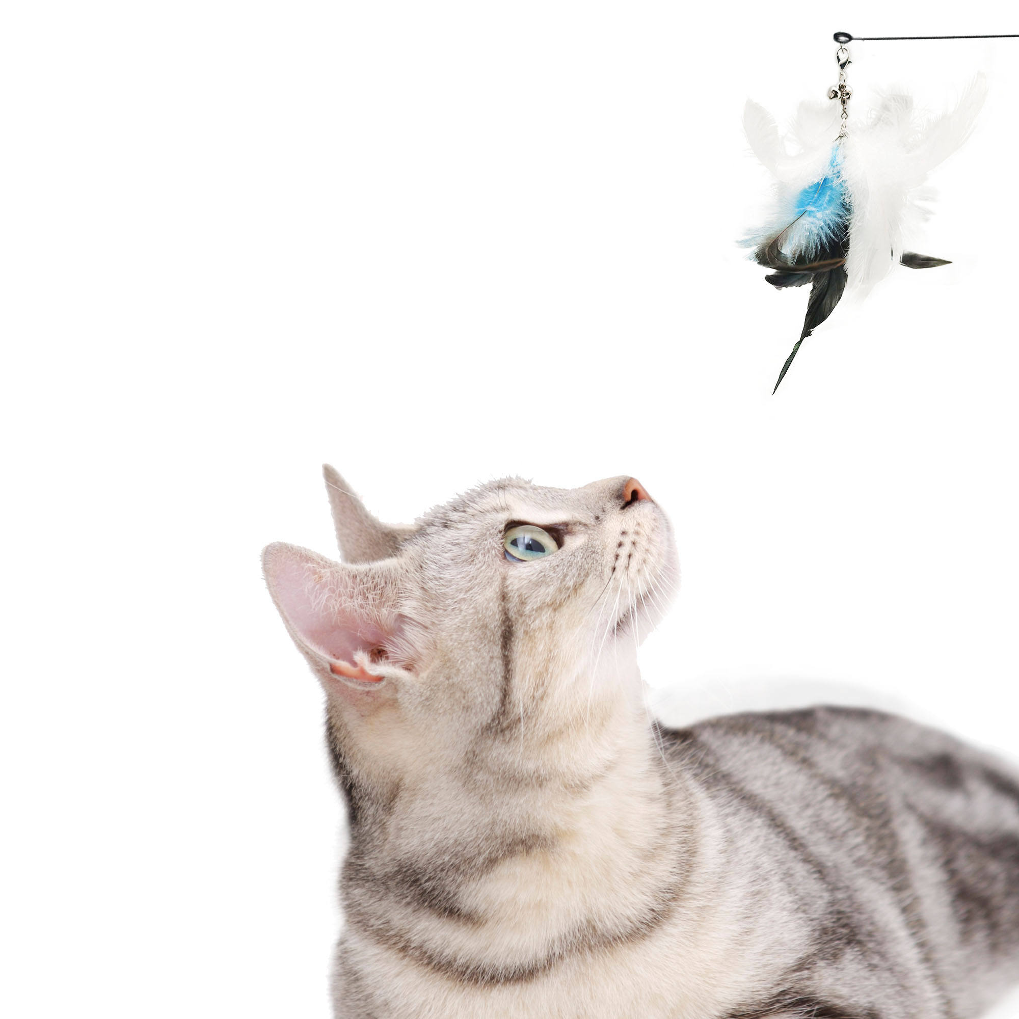 Cat toys interactive  第2张