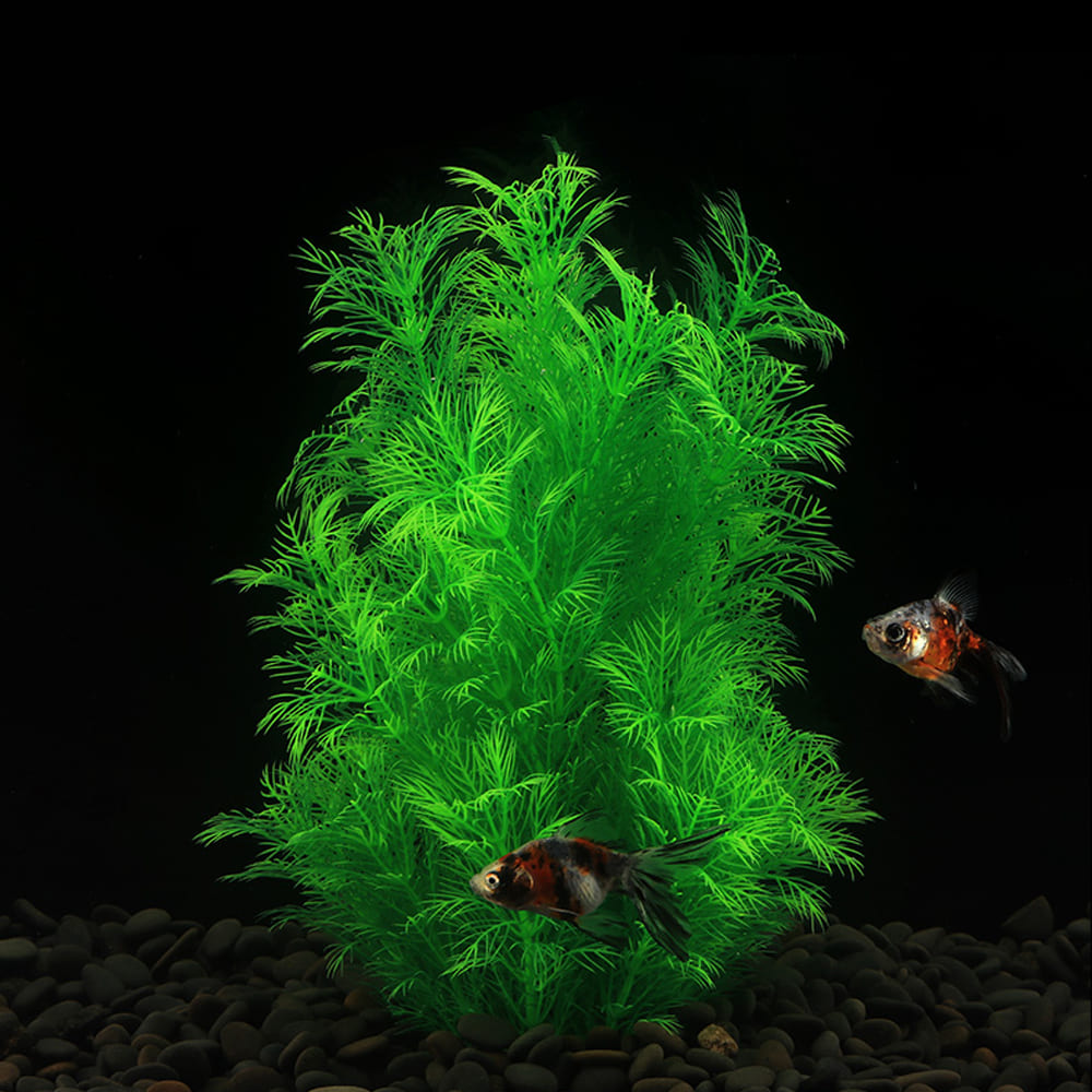 Aquatic plants wholesale 第1张-Pet and Aquarium Supplies Wholesale | FAUSHUN aquatic plants wholesale