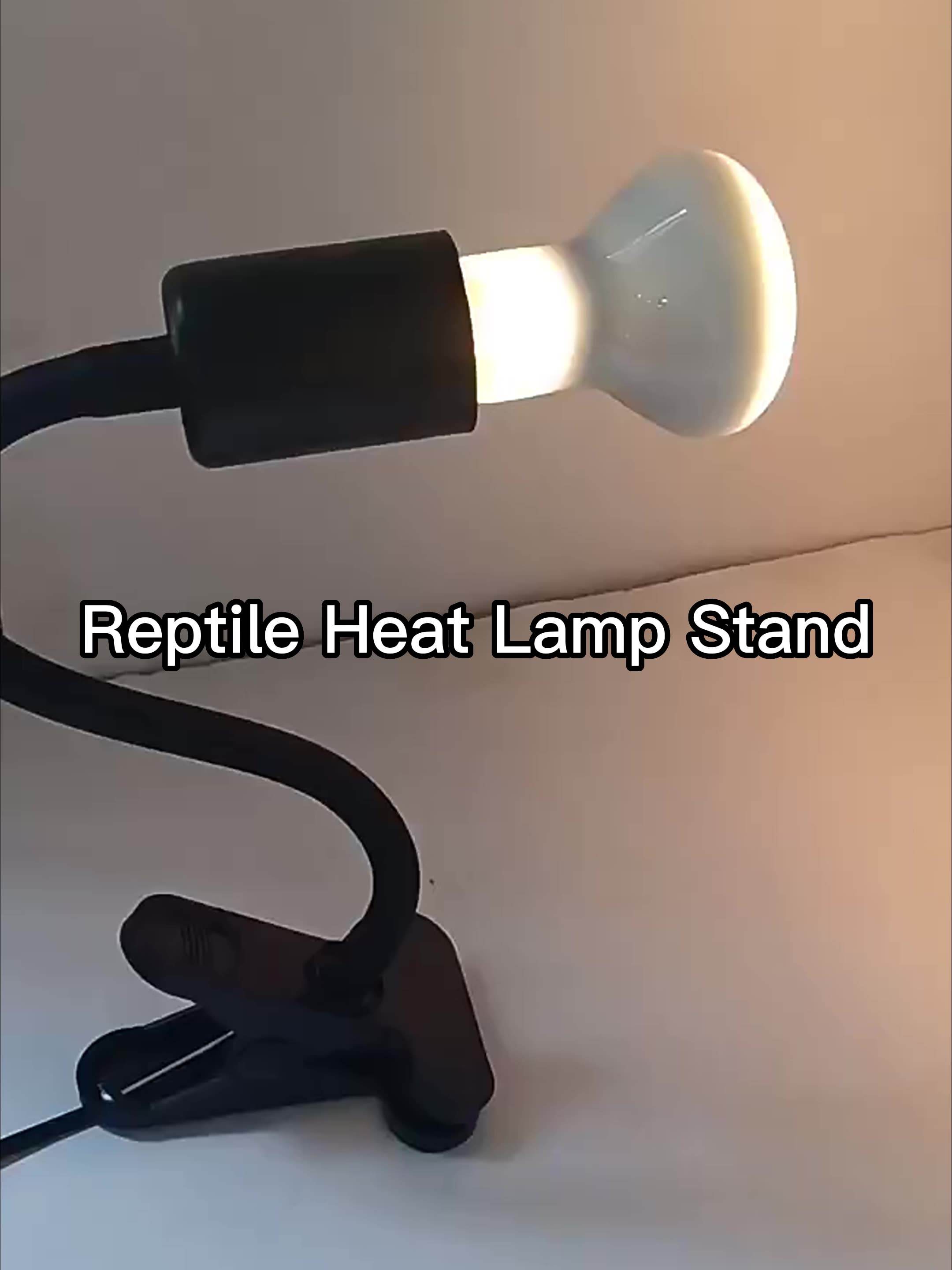 Turtle lamp  第7张