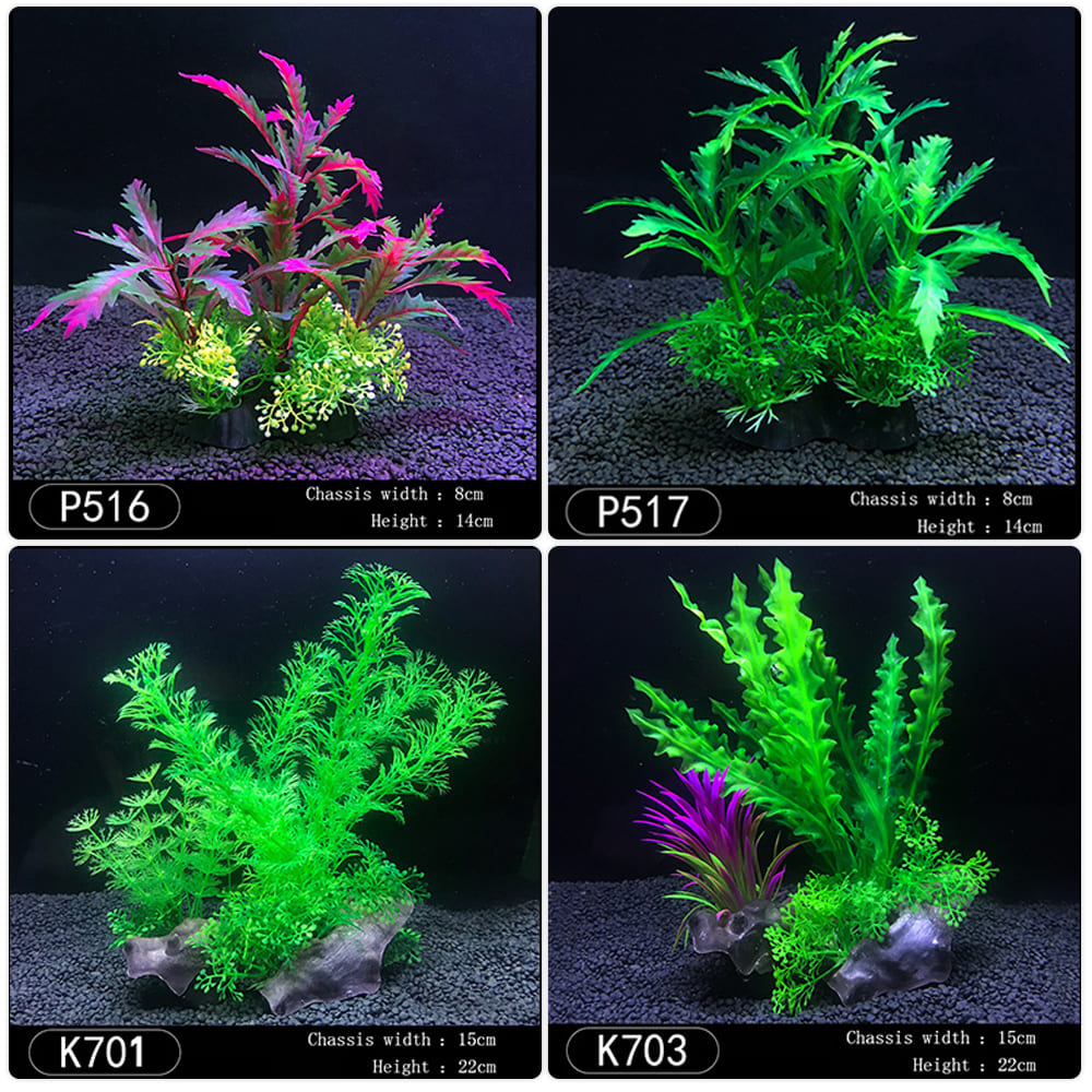 Aquatic plants wholesale 第11张-Pet and Aquarium Supplies Wholesale | FAUSHUN