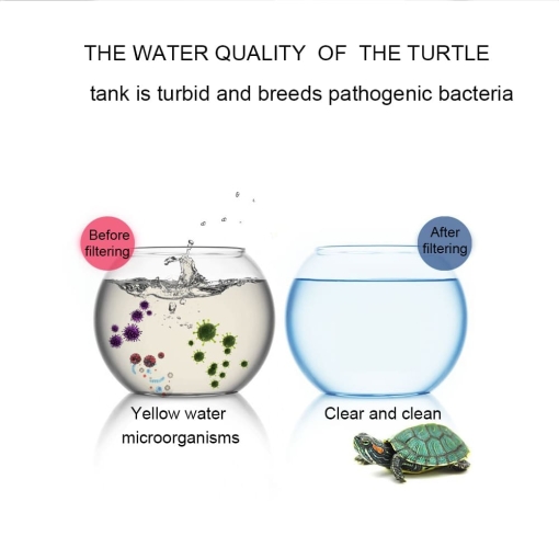 Aquarium new low water filter-2022