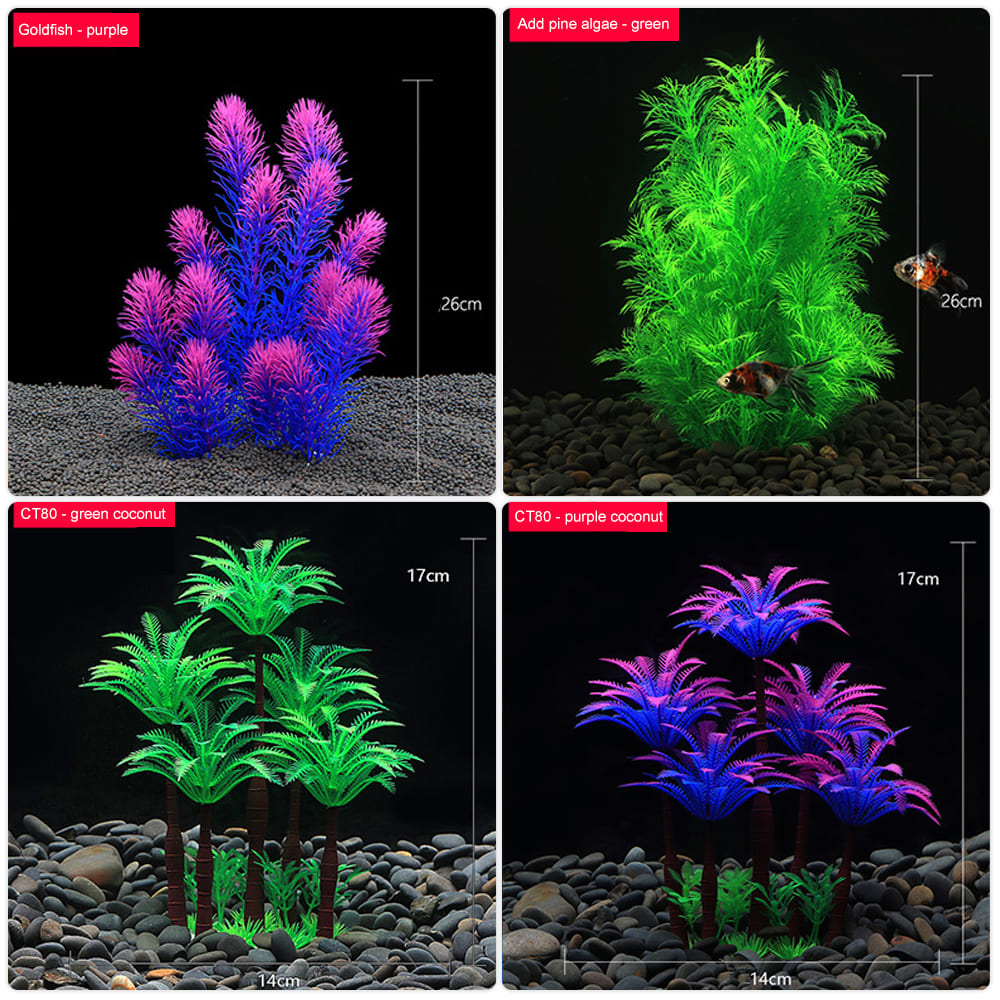 Aquatic plants wholesale 第5张-Pet and Aquarium Supplies Wholesale | FAUSHUN aquatic plants wholesale