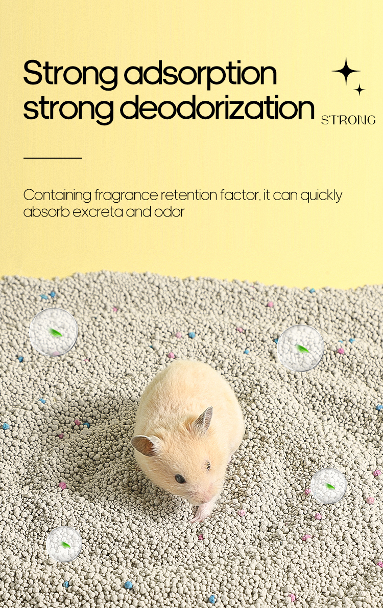 Hamster sand bath  第6张