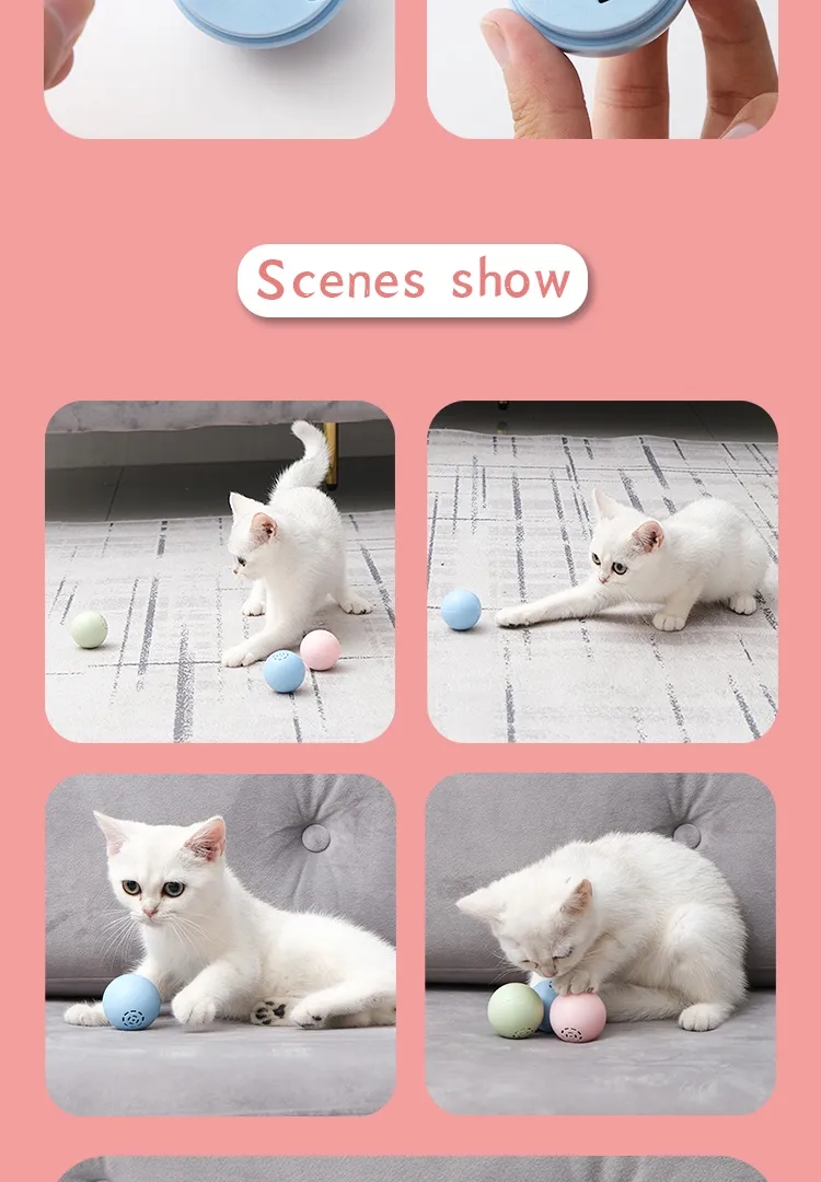 Cat music box  第9张