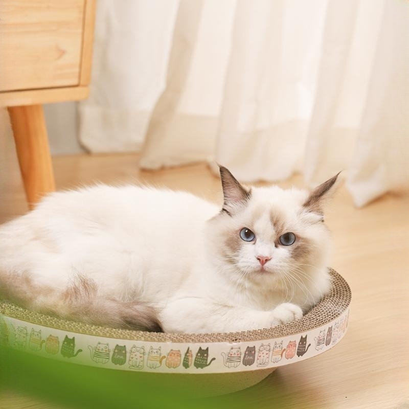 Cat scratcher  第4张