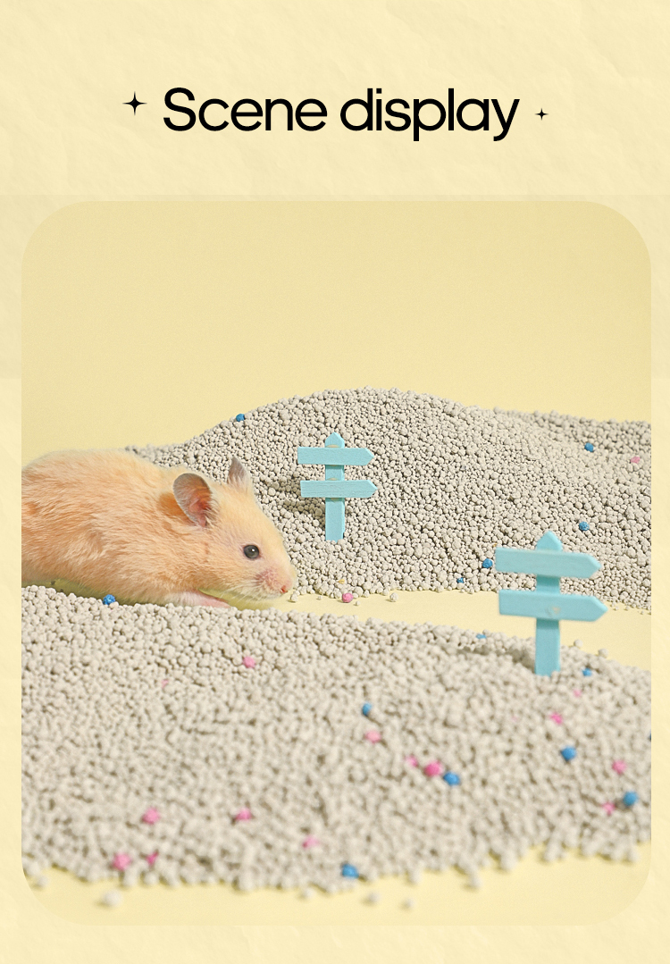 Hamster sand bath  第9张