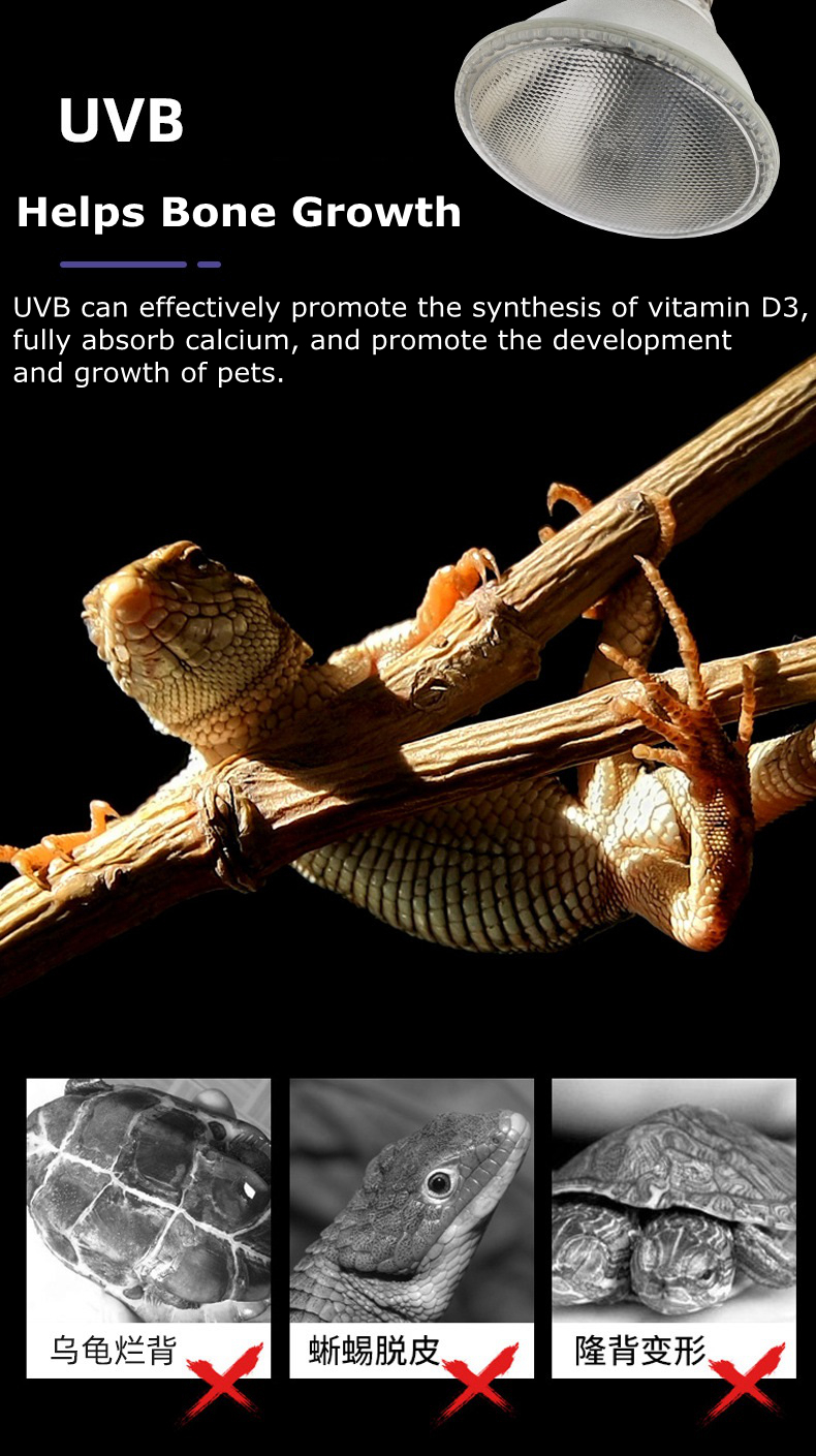 Reptile heating lamp  第1张
