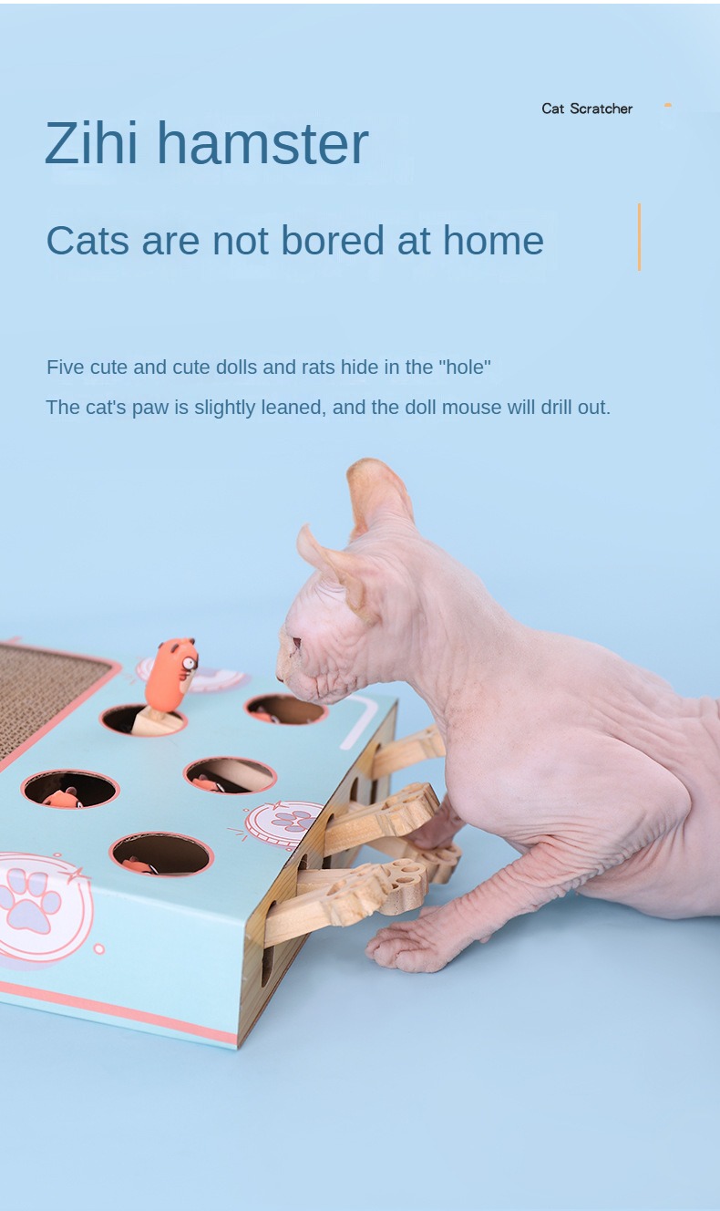 Cat interactive toy  第4张