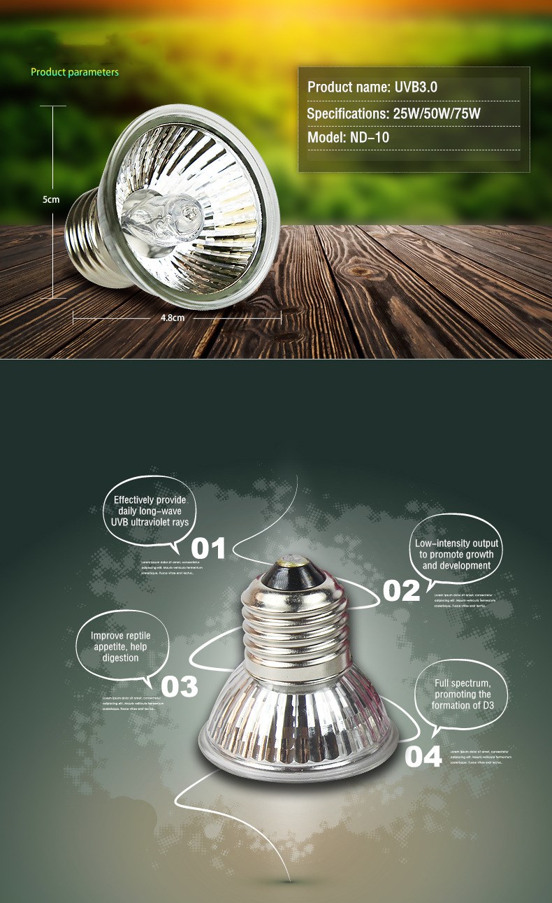 Reptile Lamp  第3张