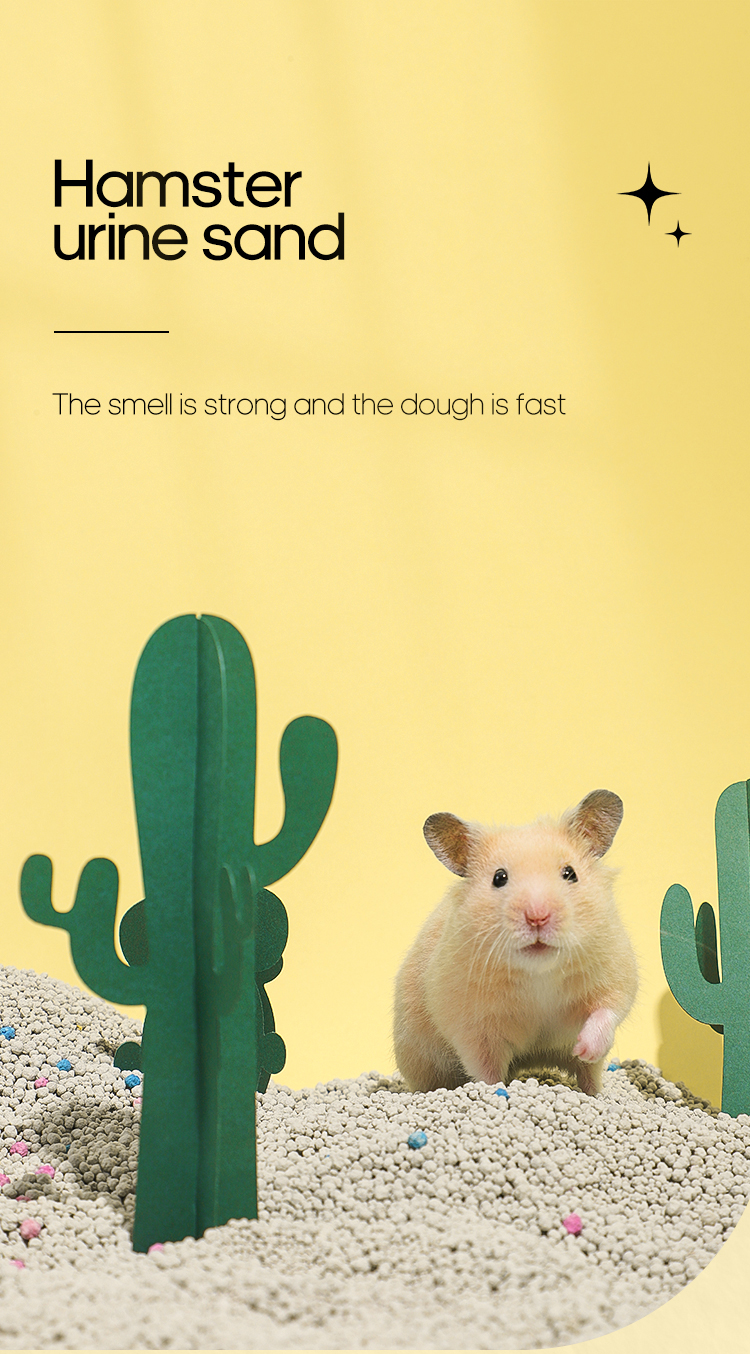 Hamster sand bath  第1张