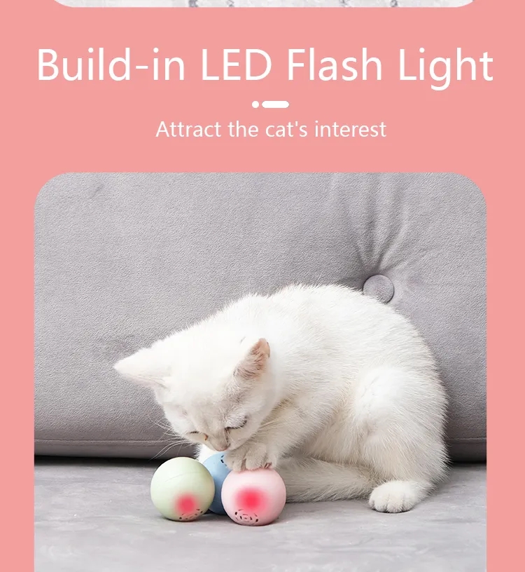 Cat music box  第4张