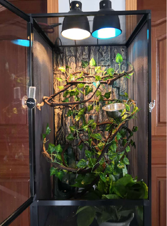 Large reptile terrarium 第7张-Pet and Aquarium Supplies Wholesale | FAUSHUN