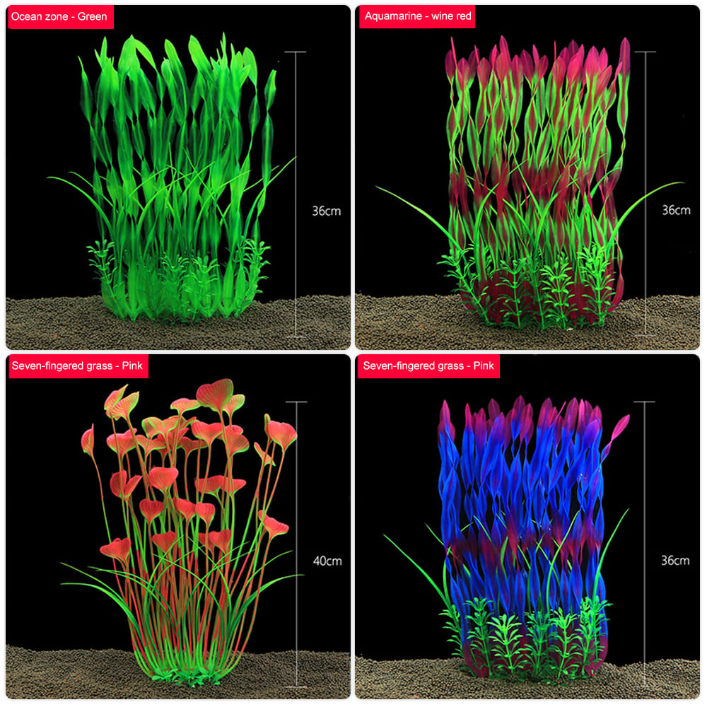 Aquatic plants wholesale 第7张-Pet and Aquarium Supplies Wholesale | FAUSHUN