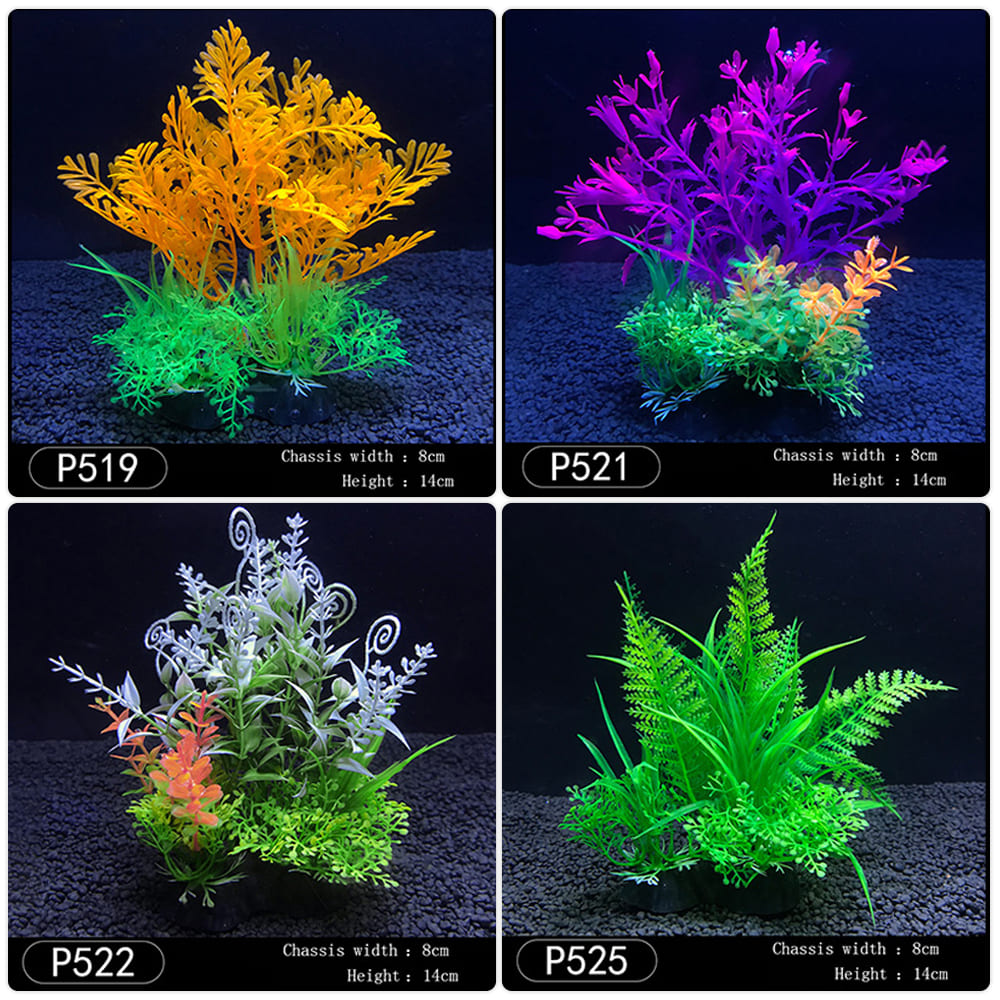 Aquatic plants wholesale  第12张