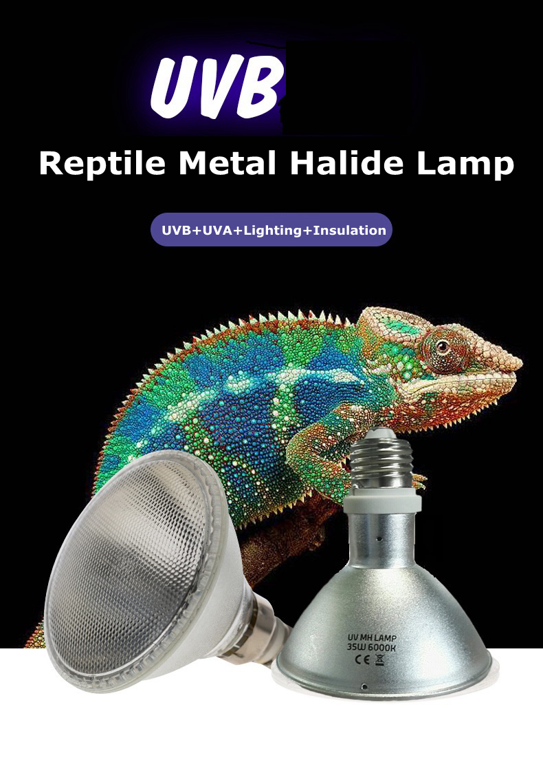 Reptile heating lamp  第2张
