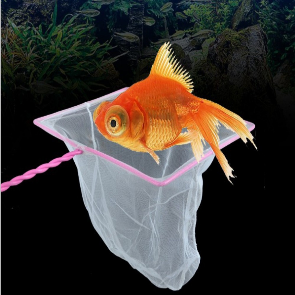 Fish tank nets factory  第7张