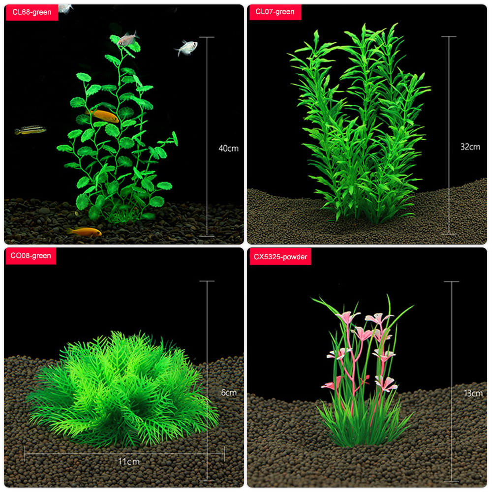 Aquatic plants wholesale  第8张