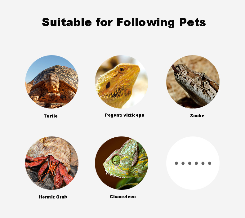 Reptile light  第7张