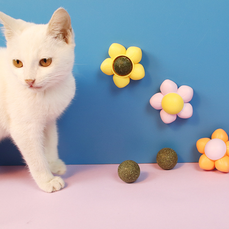 Catnip ball  第2张
