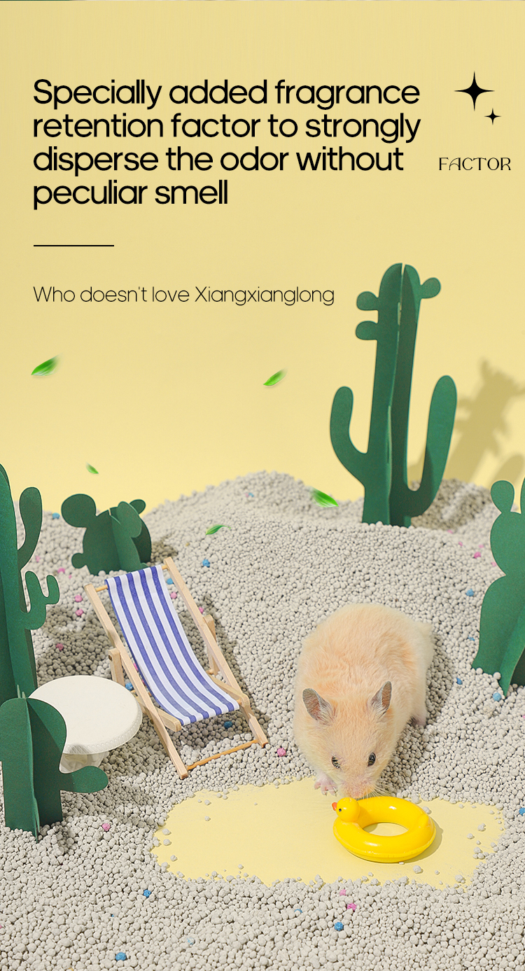 Hamster sand bath  第5张