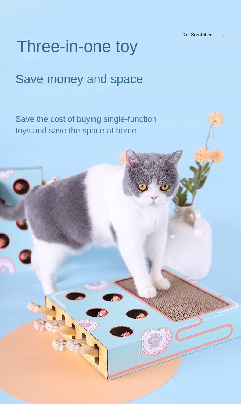 Cat interactive toy  第2张