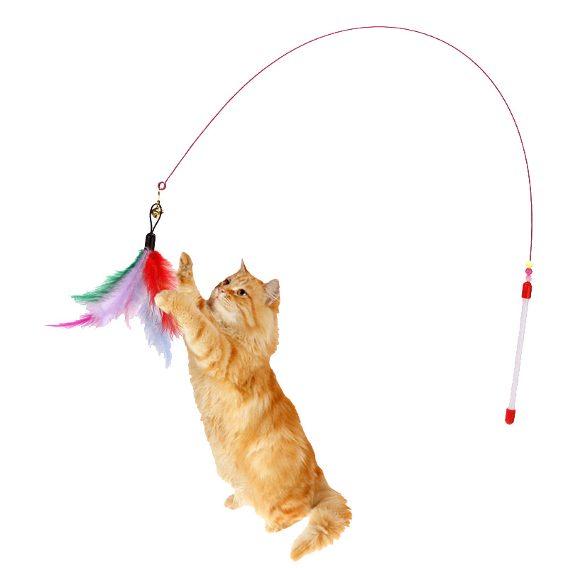 Cat toy with feathers  第1张