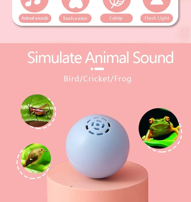 Cat music box  第2张