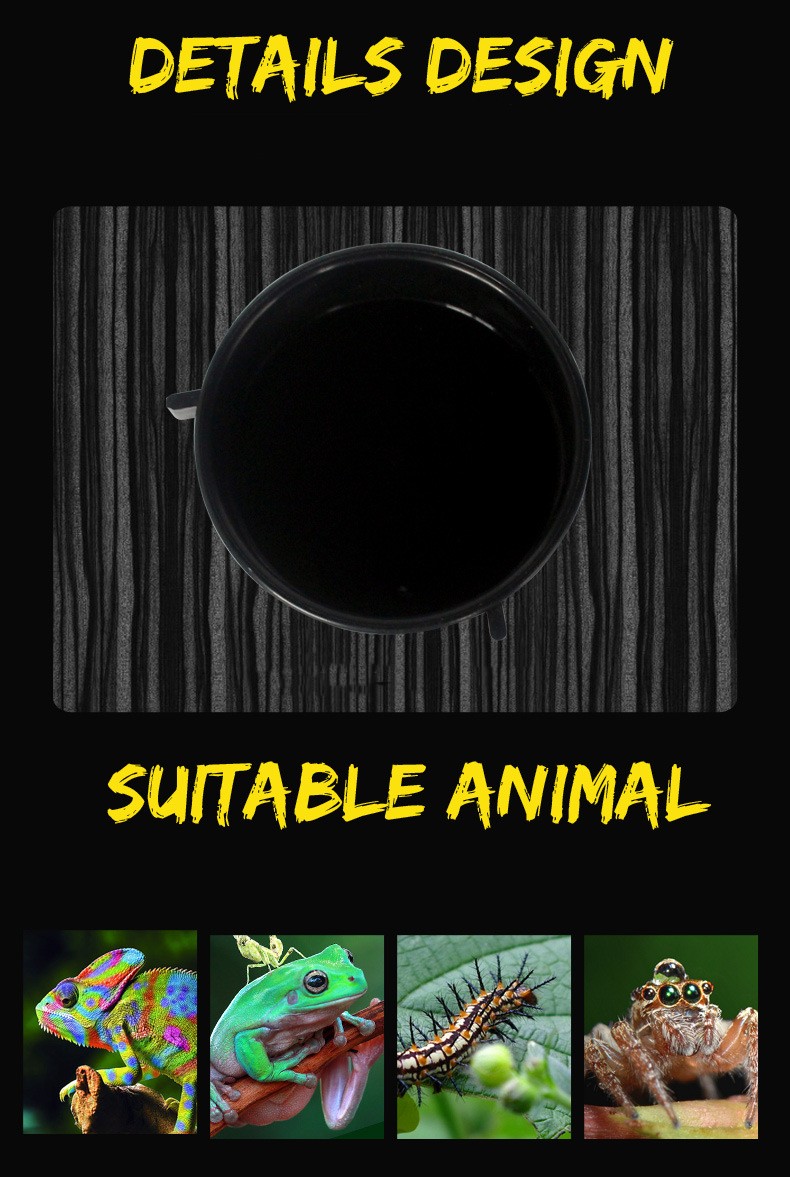 Reptile bowl  第1张