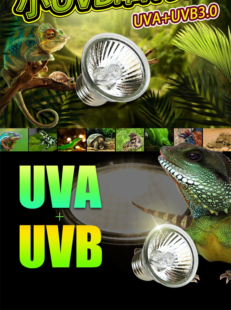 Reptile Lamp  第1张