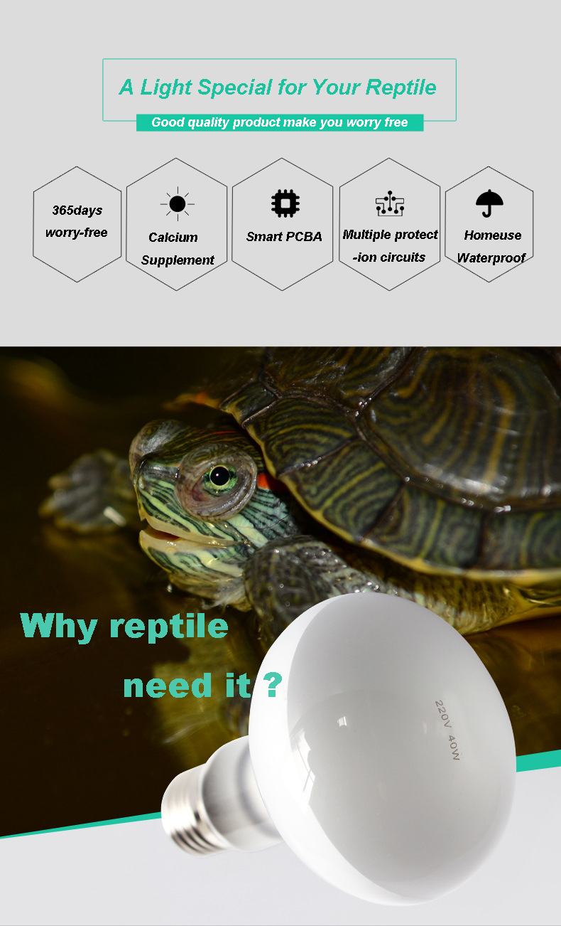 Reptile light  第1张
