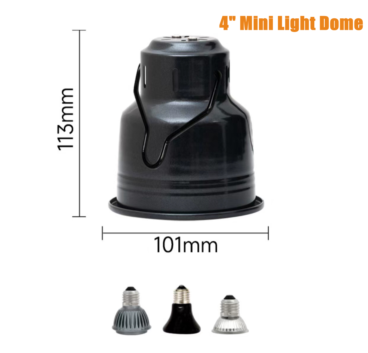 Reptile light  第3张