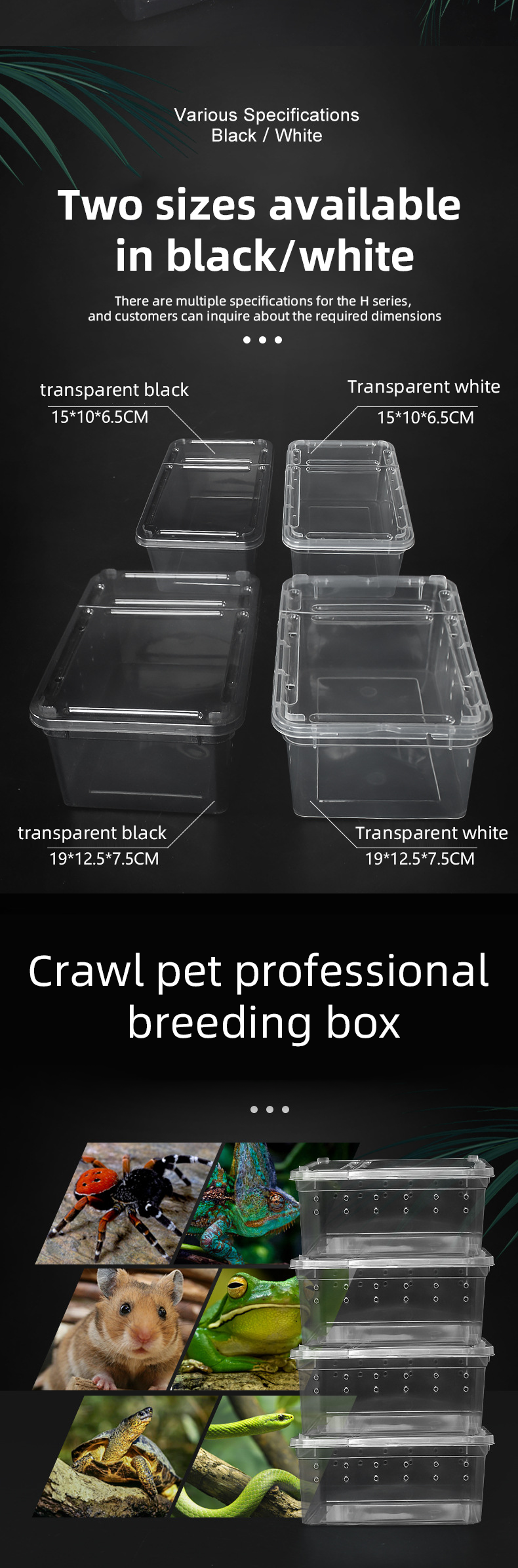 Reptile cage  第2张-Pet and Aquarium Supplies Wholesale | FAUSHUN