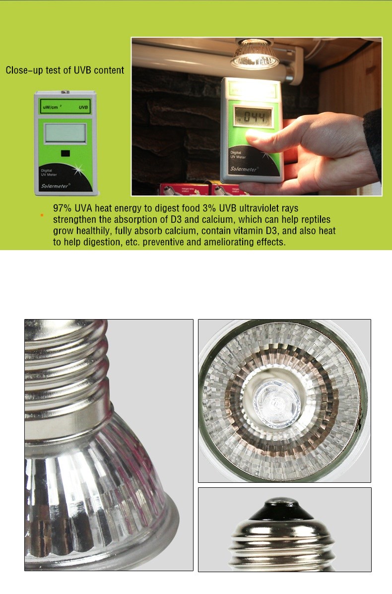 Reptile Lamp  第4张