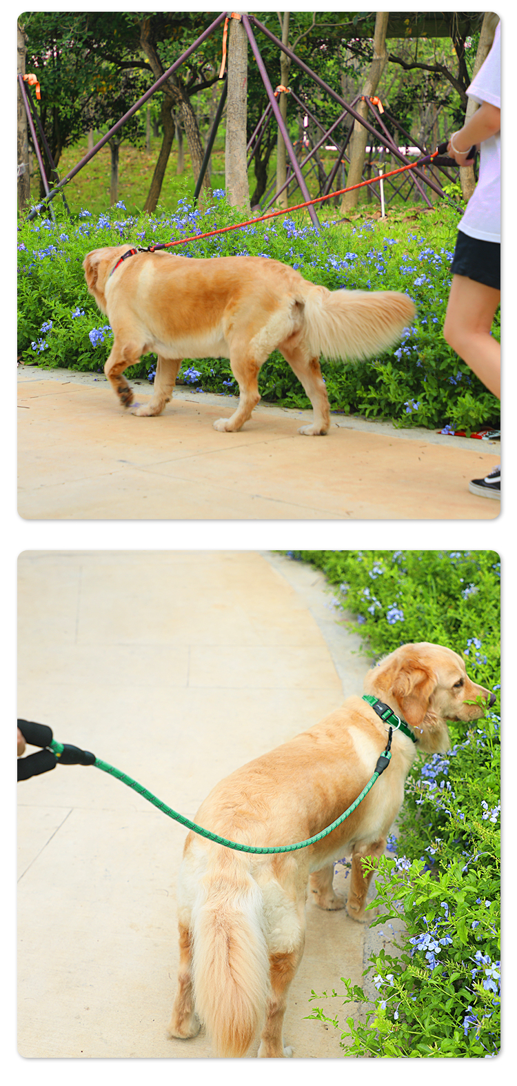 Dog leash  第5张-Pet and Aquarium Supplies Wholesale | FAUSHUN