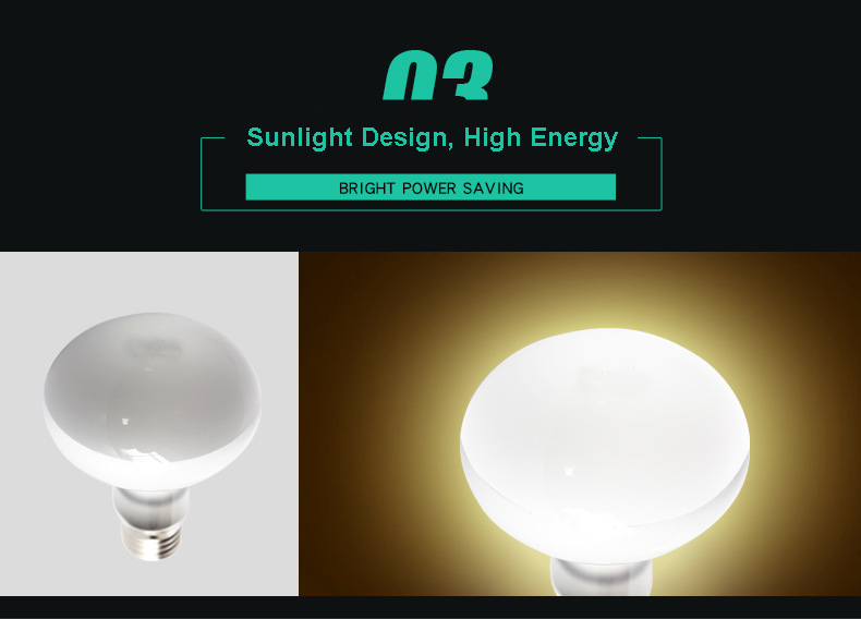 Reptile light  第4张