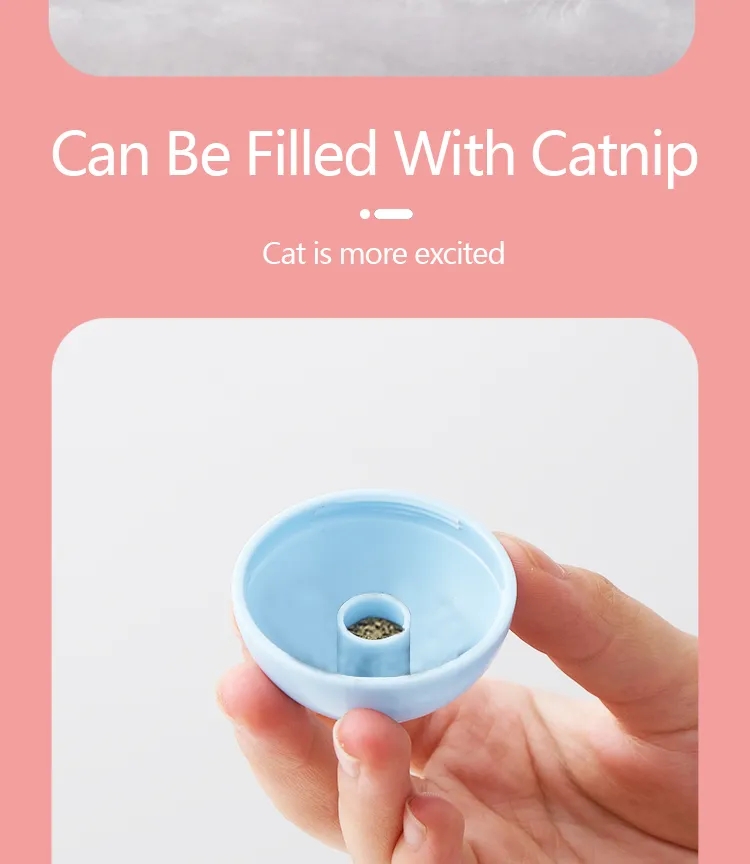 Cat music box  第5张