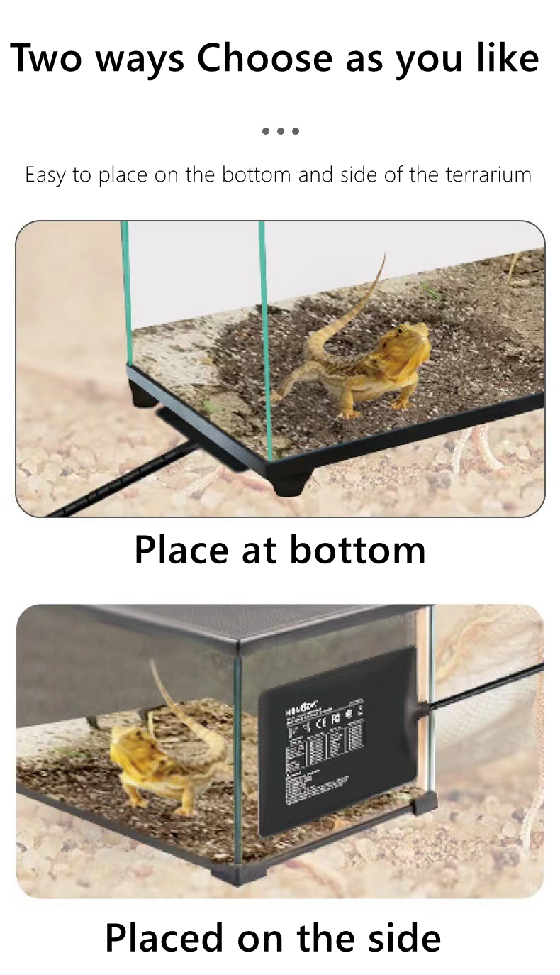 Reptile heating pad  第5张