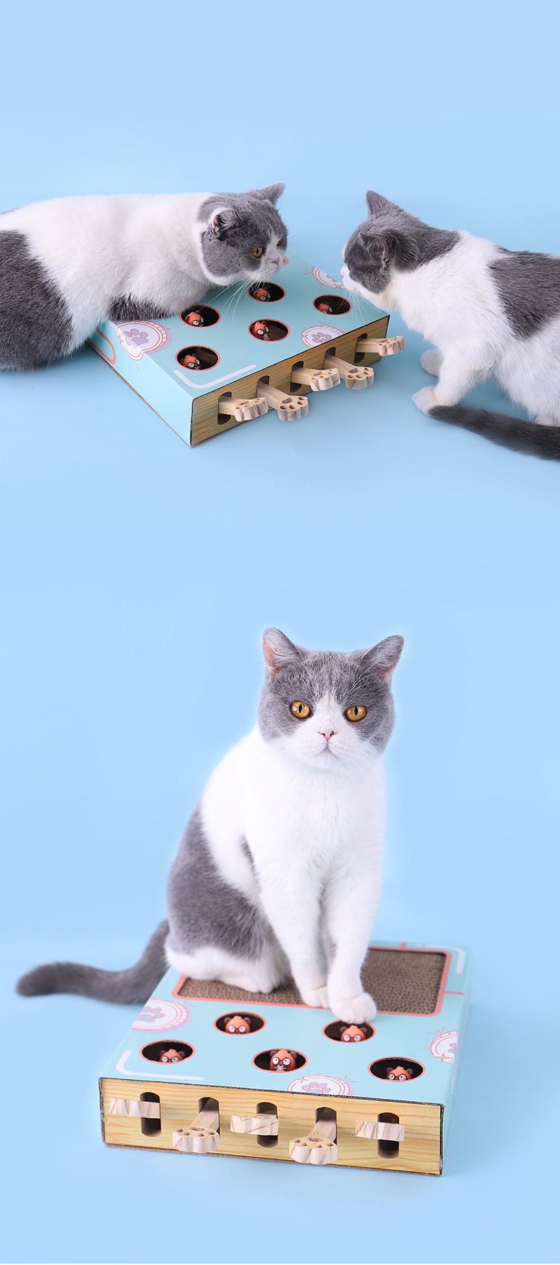 Cat interactive toy 第10张-Pet and Aquarium Supplies Wholesale | FAUSHUN