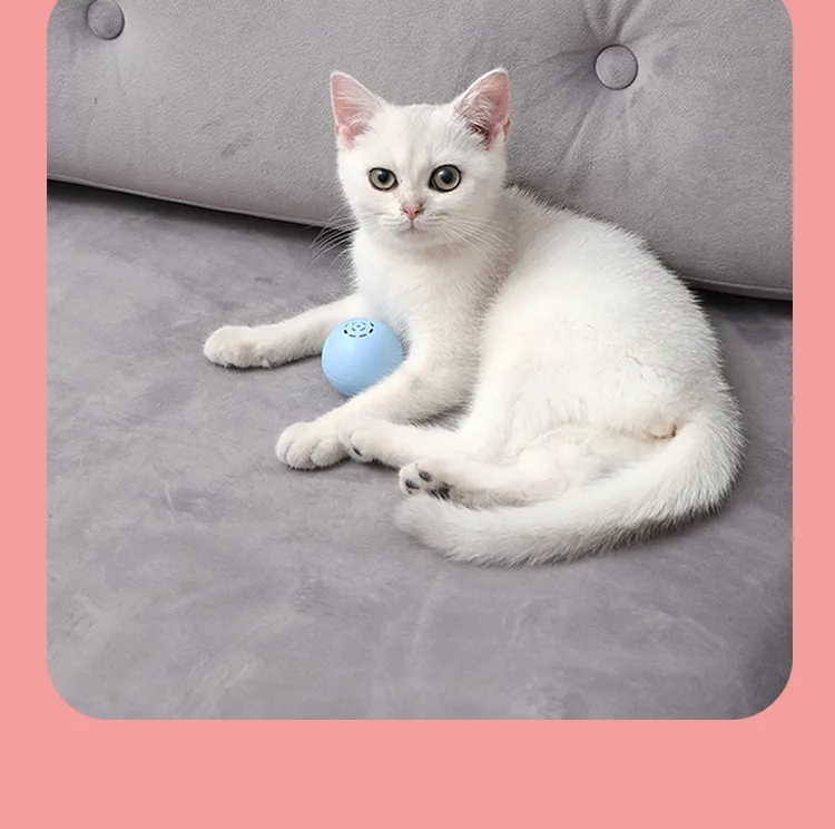 Cat music box 第10张-Pet and Aquarium Supplies Wholesale | FAUSHUN