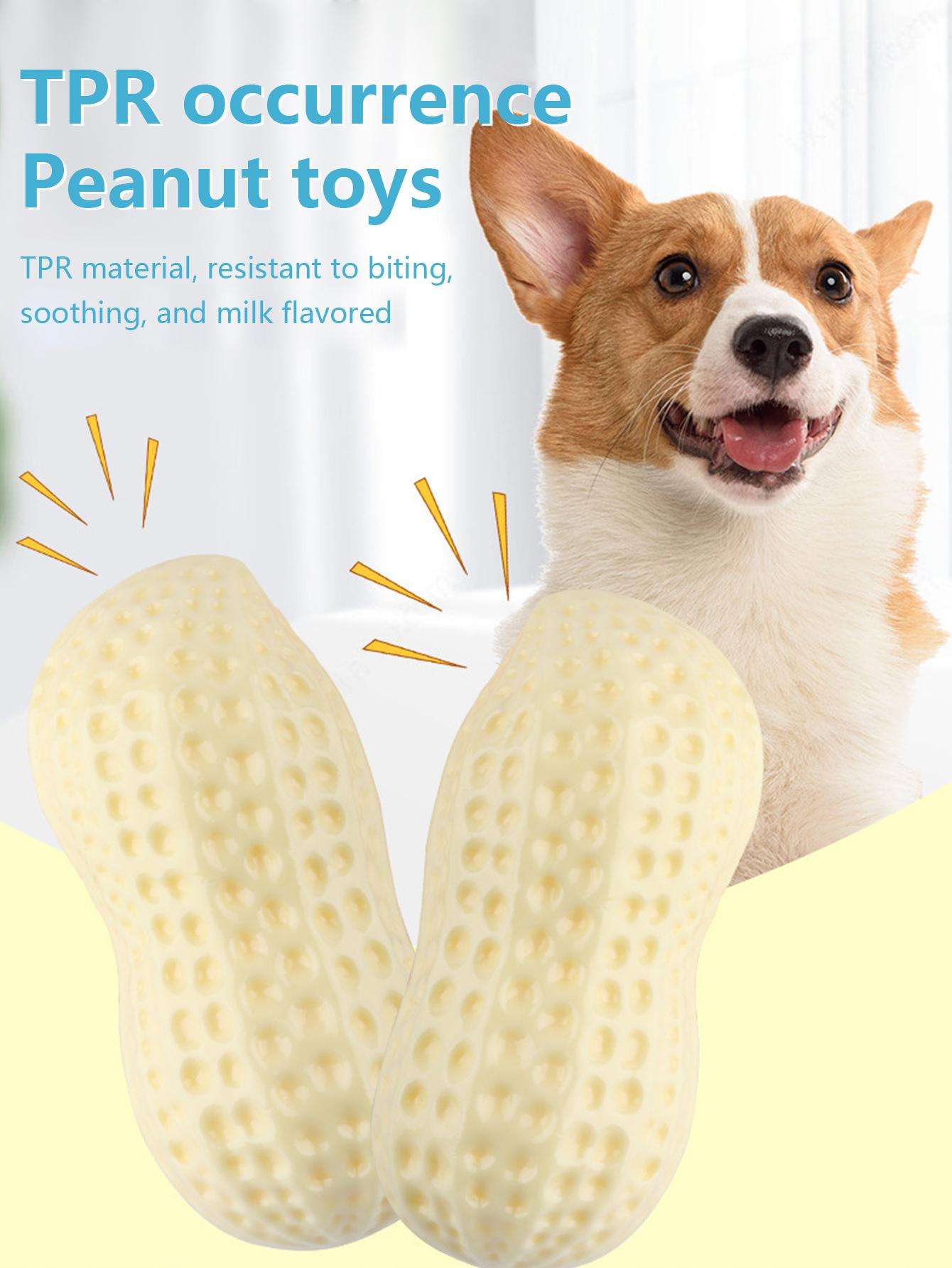 Dog chew toy  第1张