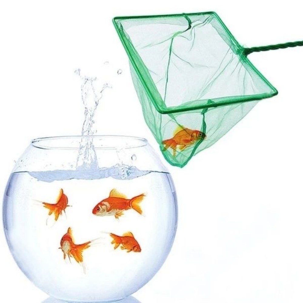 Aquarium fish net distributor  第2张